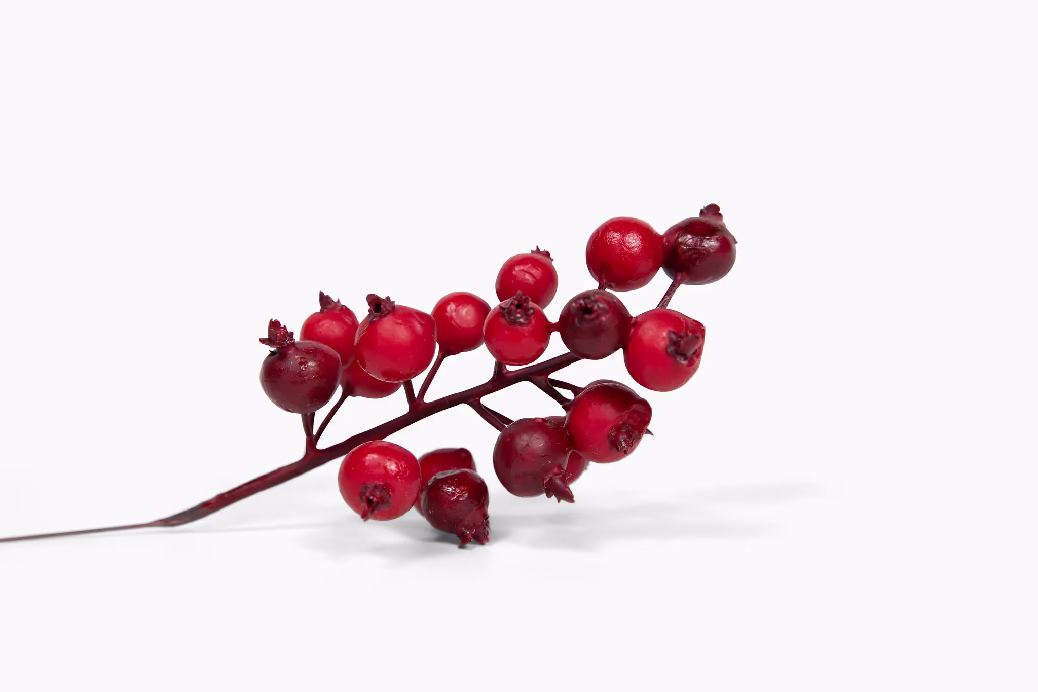 Red Berries